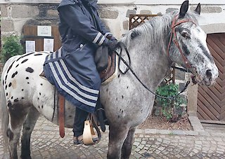 Bayerischer Wald